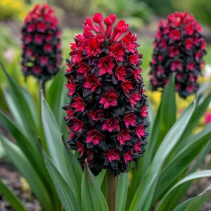 Гиацинт Джем Стоун купить по цене от 2099р. в интернет-магазине «Посадика» с доставкой почтой в в Мещовске и по всей России – [изображение №1].