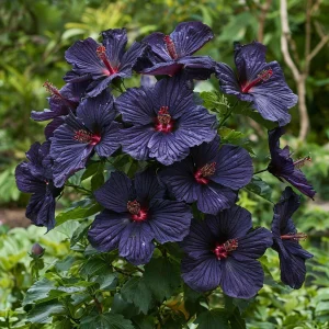 Гибискус Мэджик Момент купить по цене от 699р. в интернет-магазине «Посадика» с доставкой почтой в в Мещовске и по всей России – [изображение №1].